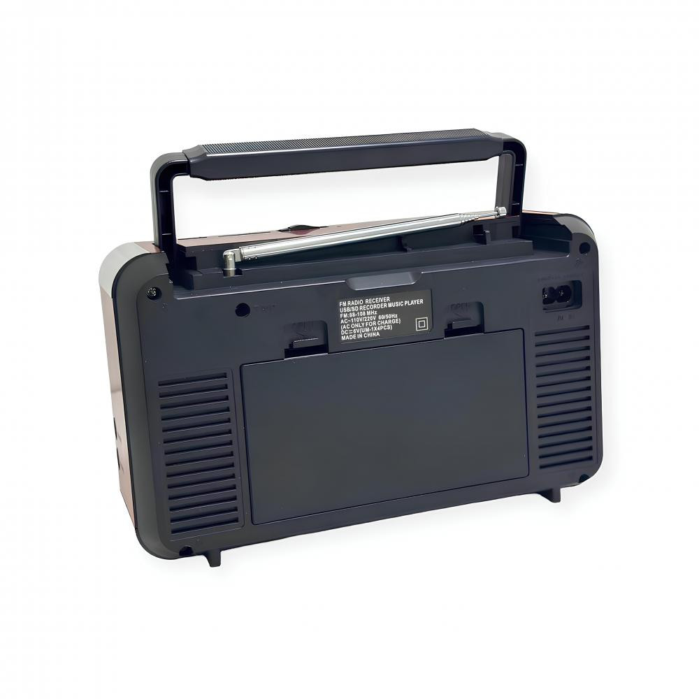 taşınabilir dijital radyo